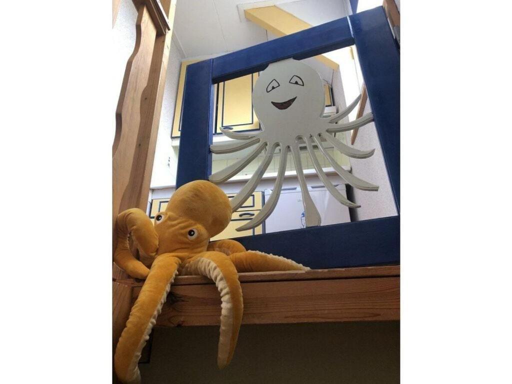 Squid Comfortable